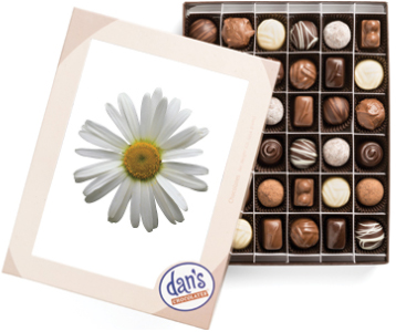 Cover of the Daisy Chocolates