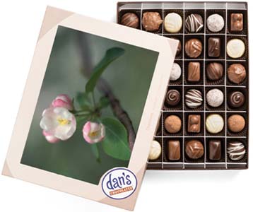 Cover of the Just Because